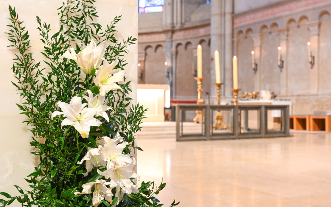 Messe Chrismale : Homélie de Mgr Olivier de Germay