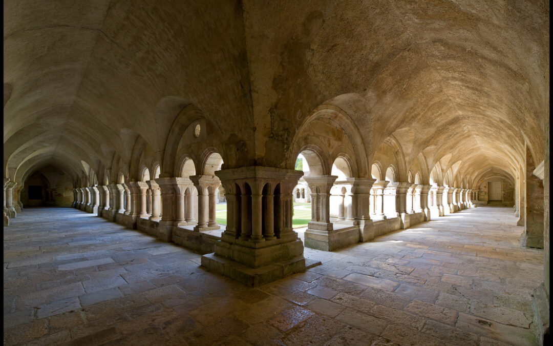 L’art du christianisme en Occident, de Clovis aux cisterciens