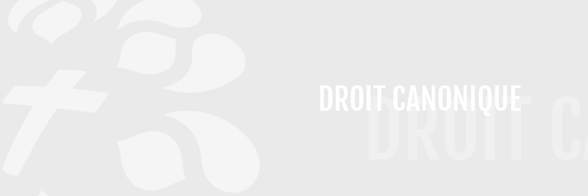 droit-canonique-diocese-lyon