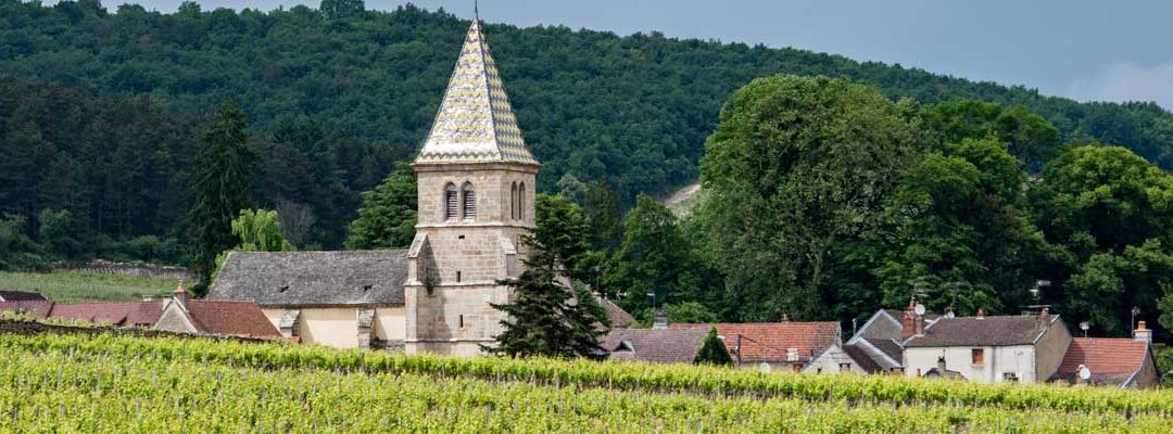 Pour une Église verte : tous concernés !