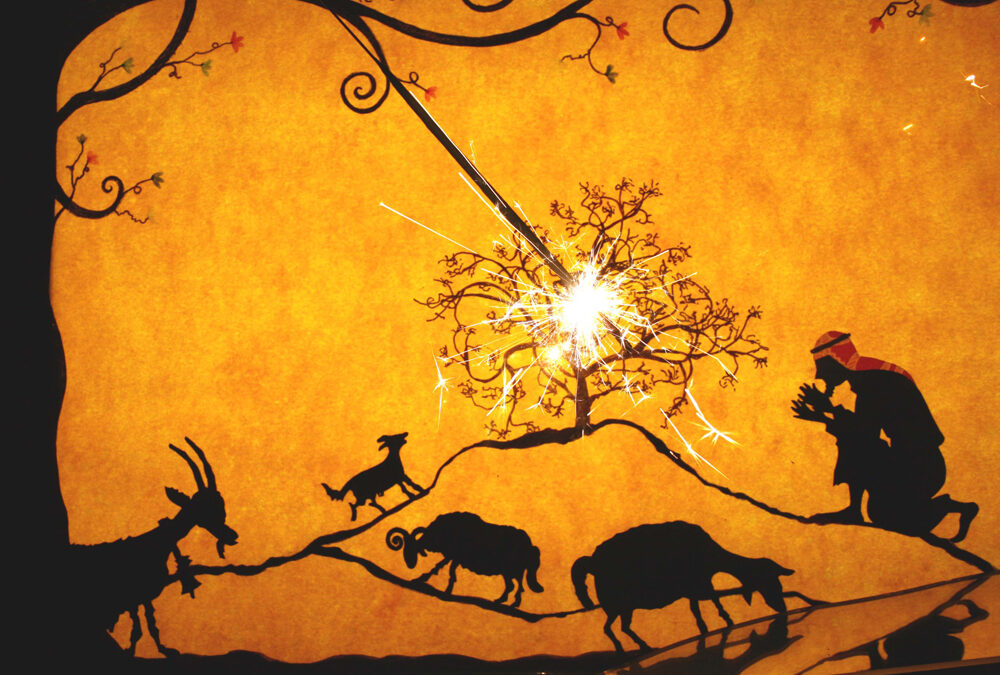 Spectacle familial – L’Arbre de Vie