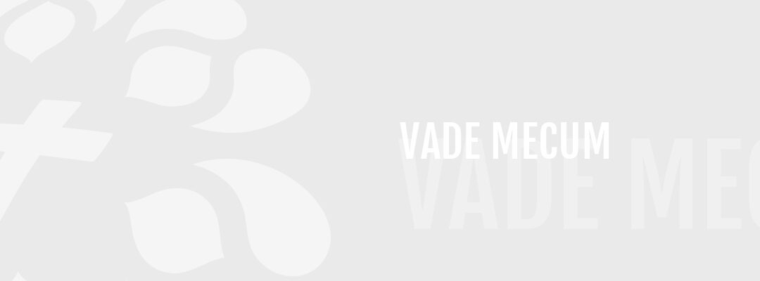 Vade mecum : Avant-propos